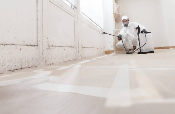 24/7 Emergency Mold Remediation experts in Barrington, IL