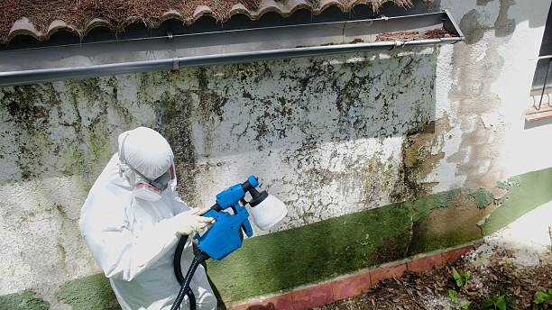 Top rated local Mold Remediation specialists in Barrington, IL
